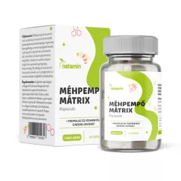   Netamin méhpempő mátrix kapszula + propolisz és fermentált ginzeng kapszula 60 db